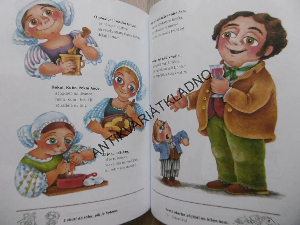 NEJVĚTŠÍ KNIHA BABIČČINÝCH ŘÍKADEL, **an
