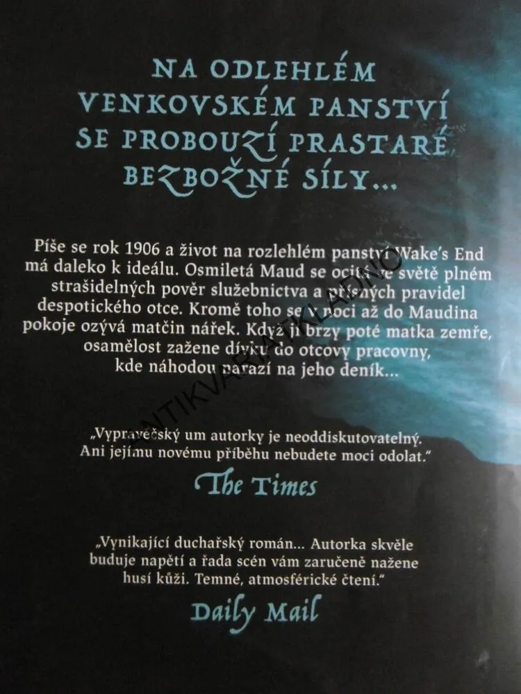 DĚS SÍDLA WAKE´S END, MICHELLE PAVER, **an