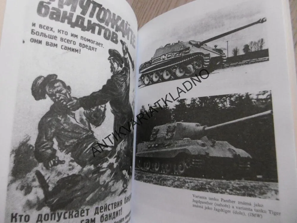 POSLEDNÍ ROK NĚMECKÉ ARMÁDY, JAMES LUCAS, **an