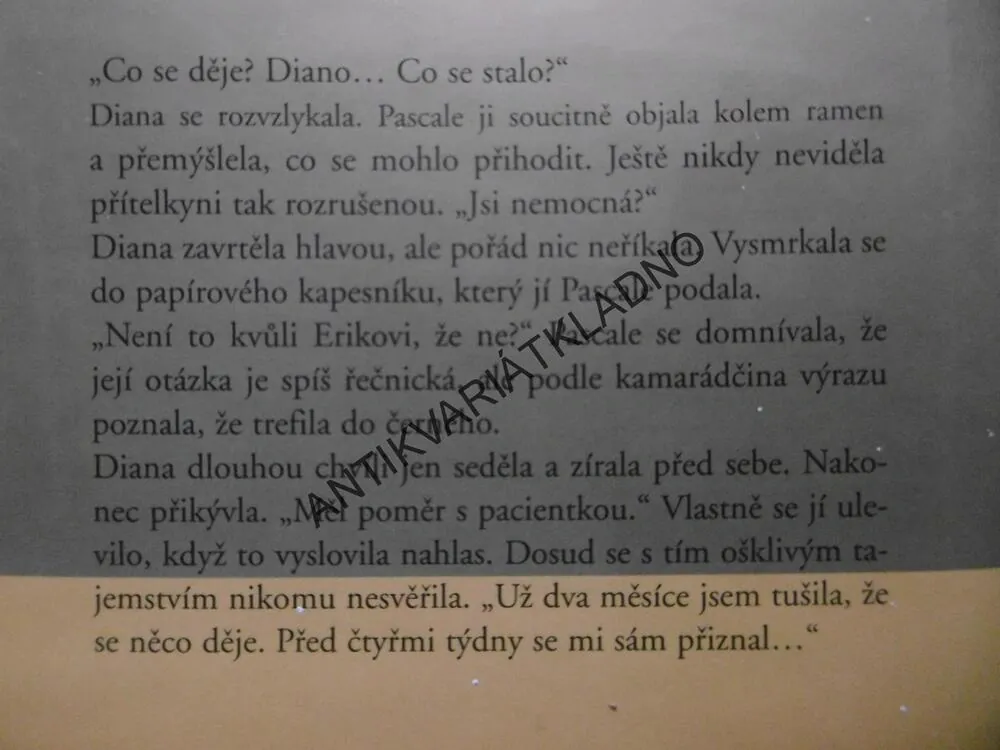 POZDNÍ LÁSKA, DANIELLE STEEL, **an