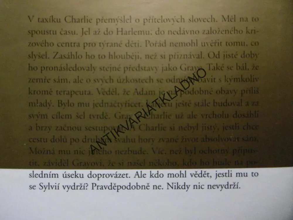 MUŽI NA ŽENĚNÍ, DANIELLE STEEL, **an