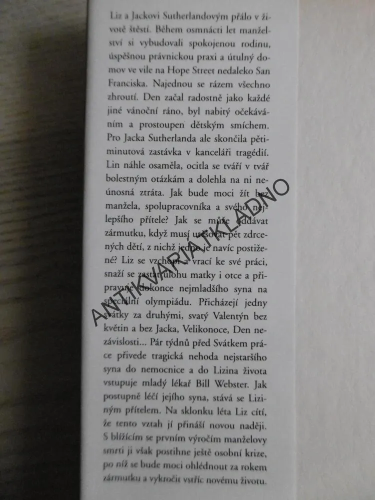 SÍLA ODVAHY, DANIELLE STEEL, **an