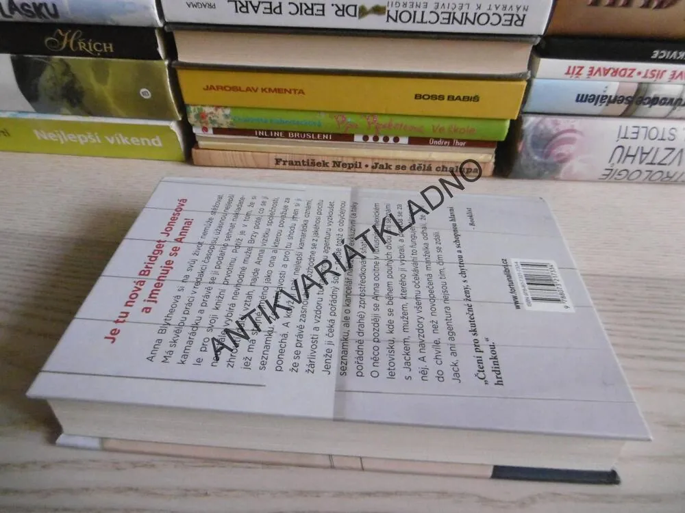 MANŽEL NA OBJEDNÁVKU, CATHERINE MCKENZIEOVÁ, **an