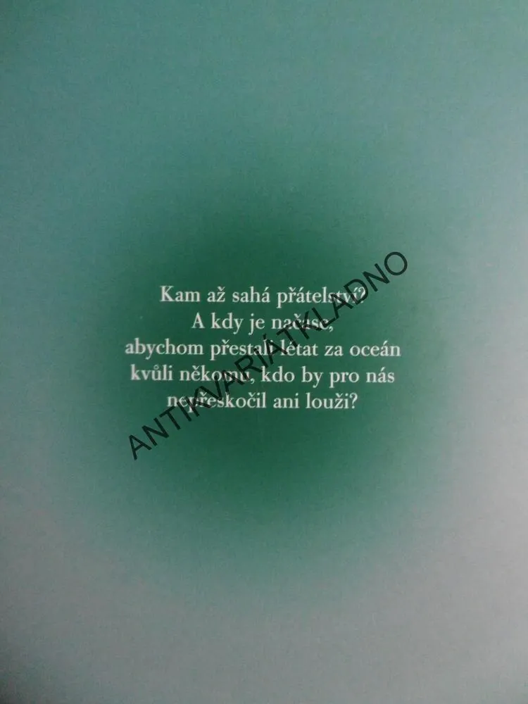 DAR PŘÁTELSTVÍ, PATRICIA SCANLAN, **an