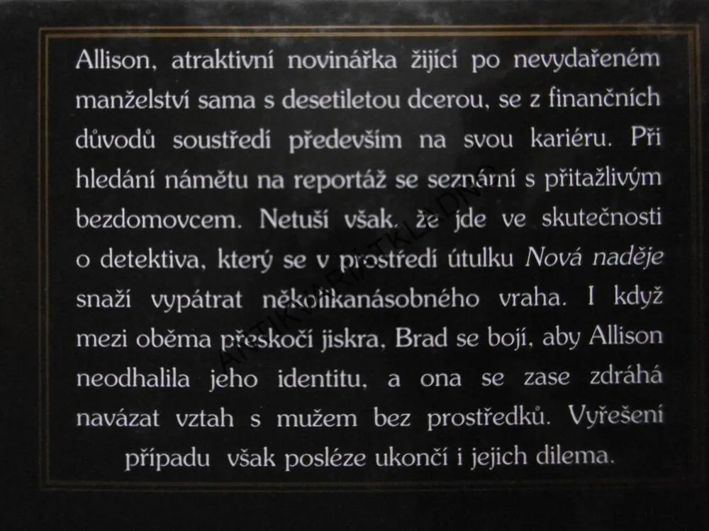 MILENEC V PŘESTROJENÍ, SALLY STEWARDOVÁ, **an