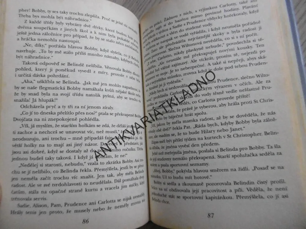 DVOJČATA ZPÁTKY VE ŠKOLE, ENID BLYTONOVÁ, **an