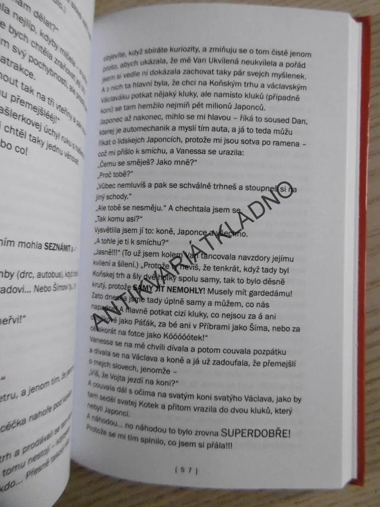 SMUTNÁ HOLKA HLEDÁ KLUKA, MELITA DENKOVÁ, **an