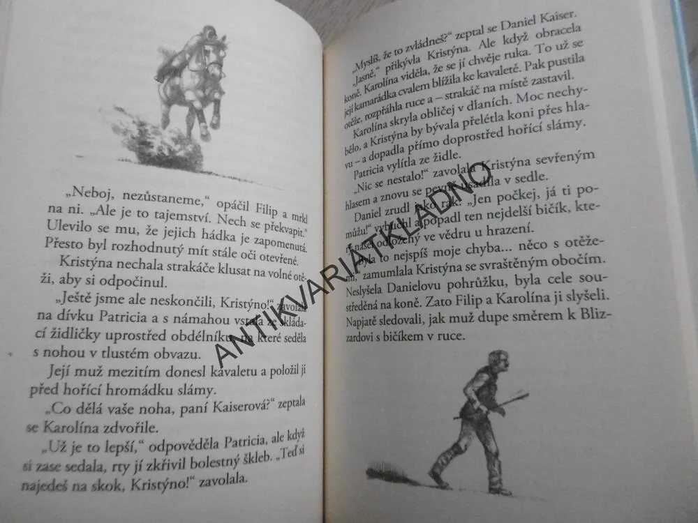 DOBRODRUŽSTVÍ PONÍKA ROBINA, KARIN MÜLLEROVÁ, **an