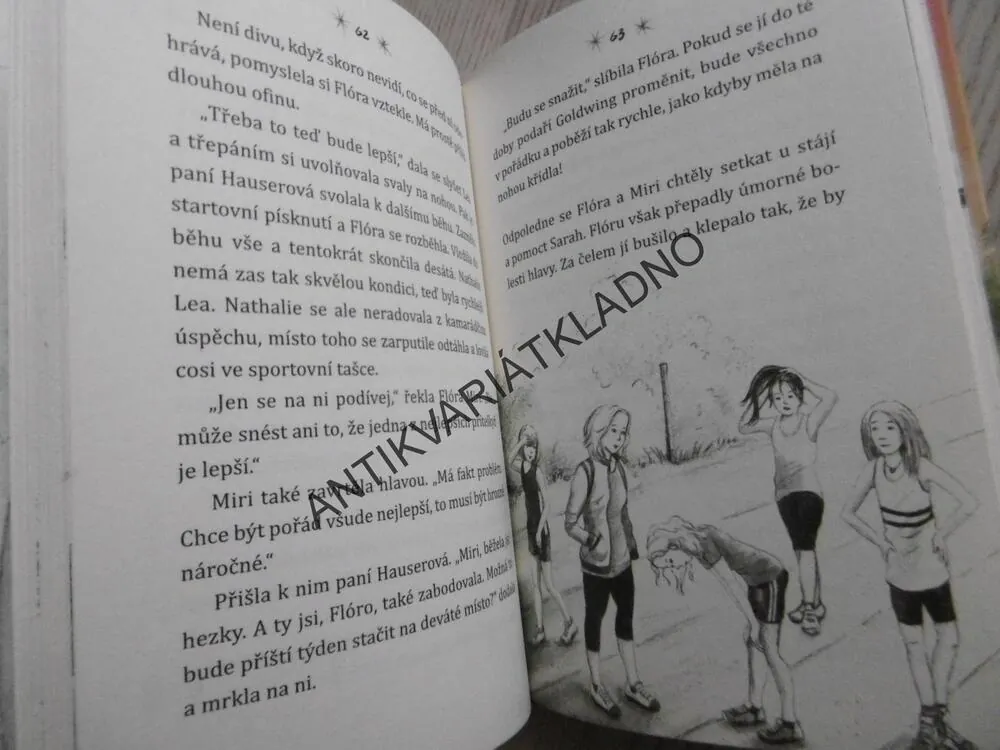 SOVÍ KOUZLO, BÁJEČNÉ PŘÁTELSTVÍ, INA BRANDTOVÁ, **an