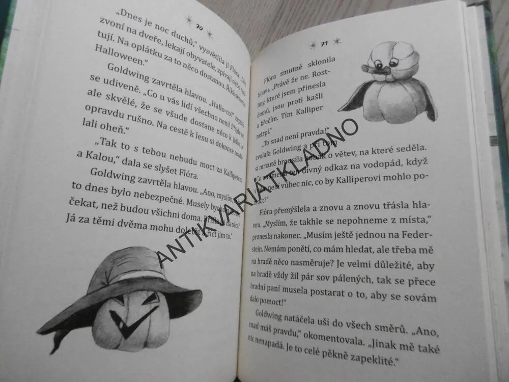 SOVÍ KOUZLO, MAGIE V GLITZERWALDSKÉM LESE, INA BRANDTOVÁ, **an