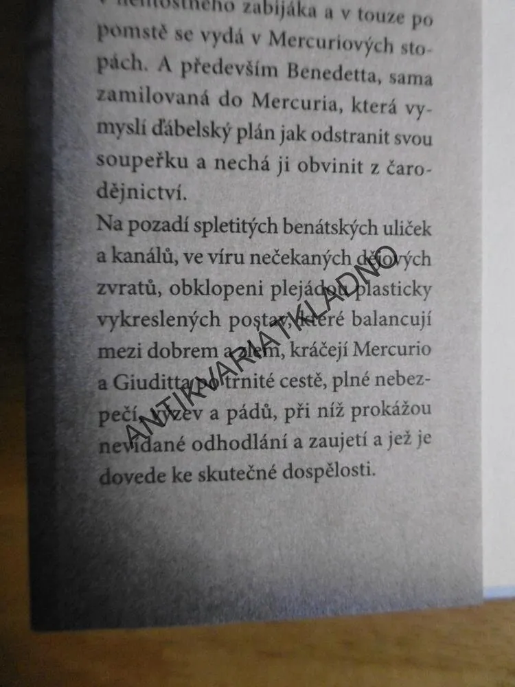 DÍVKA, KTERÁ SE DOTKLA NEBE, LUCA DI FULVIO, BESTSELLER