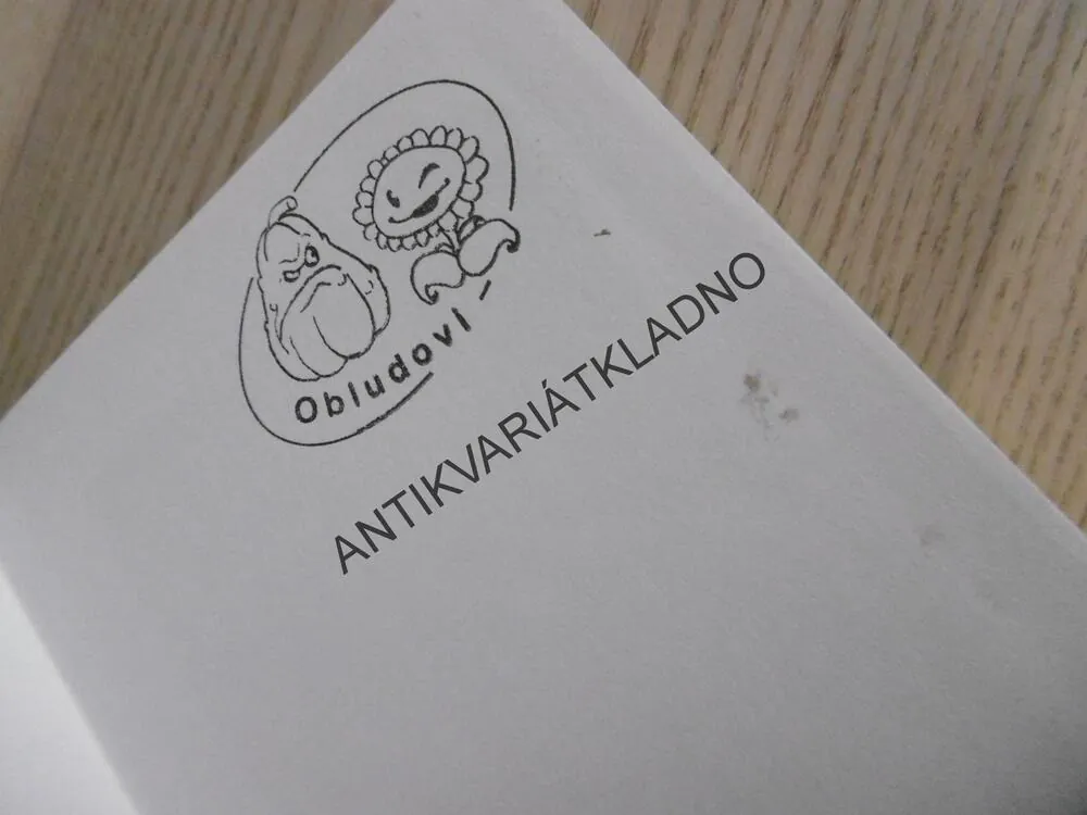 GYMNÁZIUM, VÁCLAV BUDINSKÝ, **an