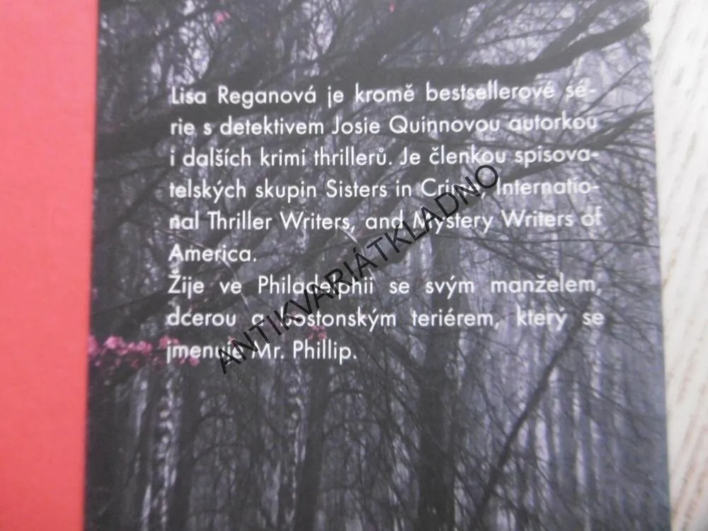 MIZEJÍCÍ DÍVKY, LISA REGANOVÁ, **an