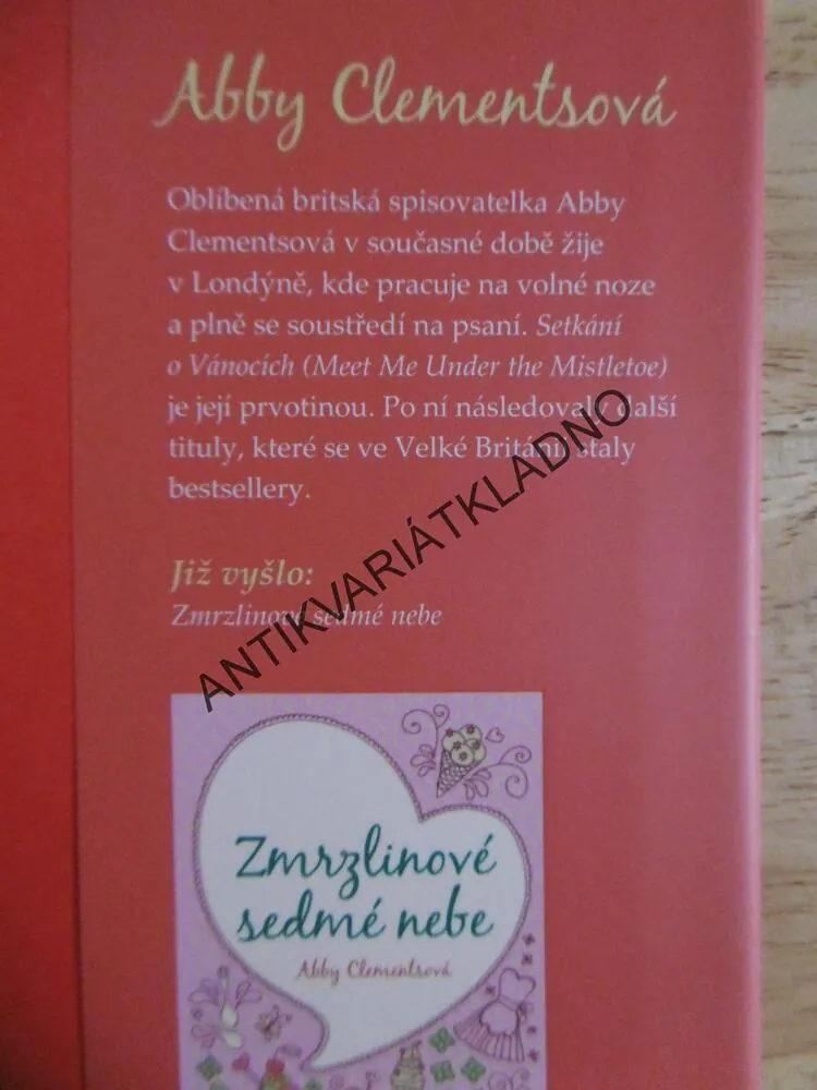 SETKÁNÍ O VÁNOCÍCH, ABBY CLEMENTSOVÁ