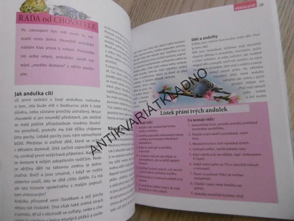 MOJE ANDULKA A JÁ, BIRMELIN, WERGLEROVÁ, **an