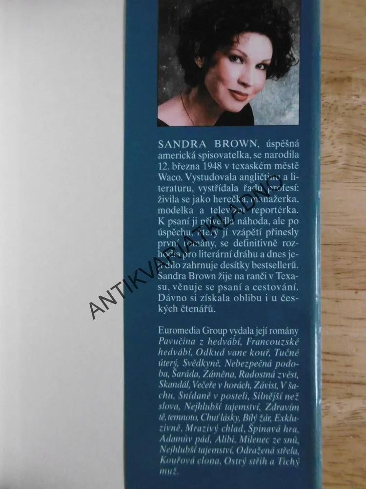 TEXAS, ODVÁŽNÁ SAGE, SANDRA BROWN