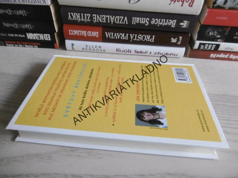 JSI PROSTĚ BOREC, JEN SINCERO, **an