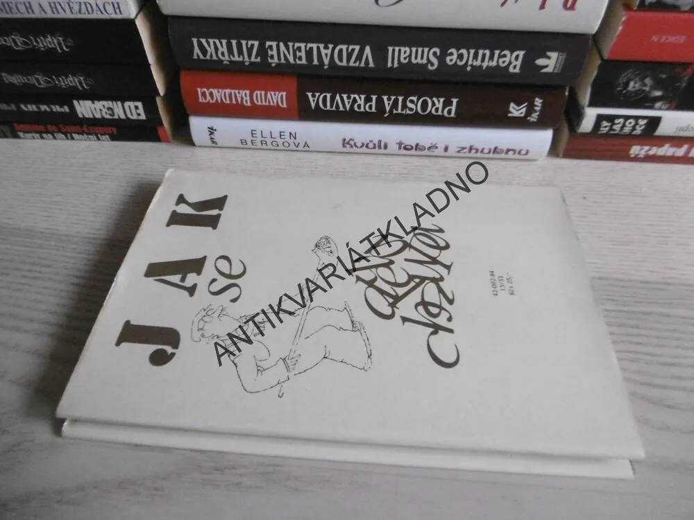 JAK SE DĚLÁ CHALUPA, FRANTIŠEK NEPIL, **an