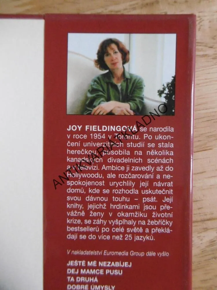 NEBEZPEČNÁ ZÓNA, JOY FIELDINGOVÁ, **an