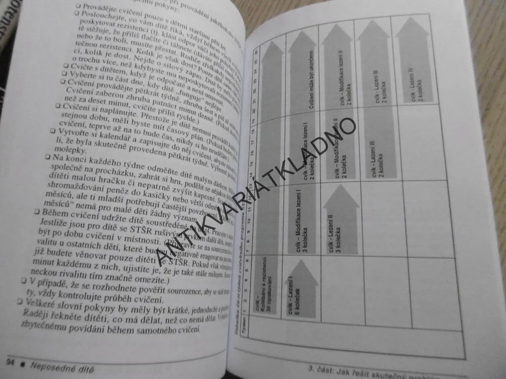 NEPOSEDNÉ DÍTĚ, JAK POMOCI HYPERAKTIVNÍM DĚTEM, NANCY E. O'DELL, PATRICIA A. COOK **an