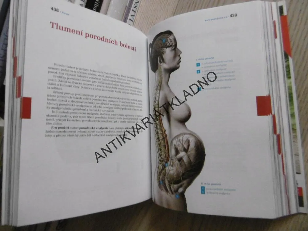 KNIHA O TĚHOTENSTVÍ A DÍTĚTI, ANTONÍN PAŘÍZEK, **an