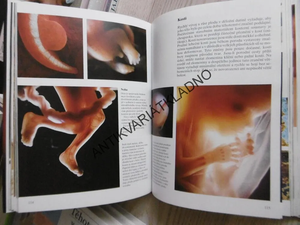 TAJEMSTVÍ ŽIVOTA, OD POČETÍ K PORODU, LENNART NILSSON, **an