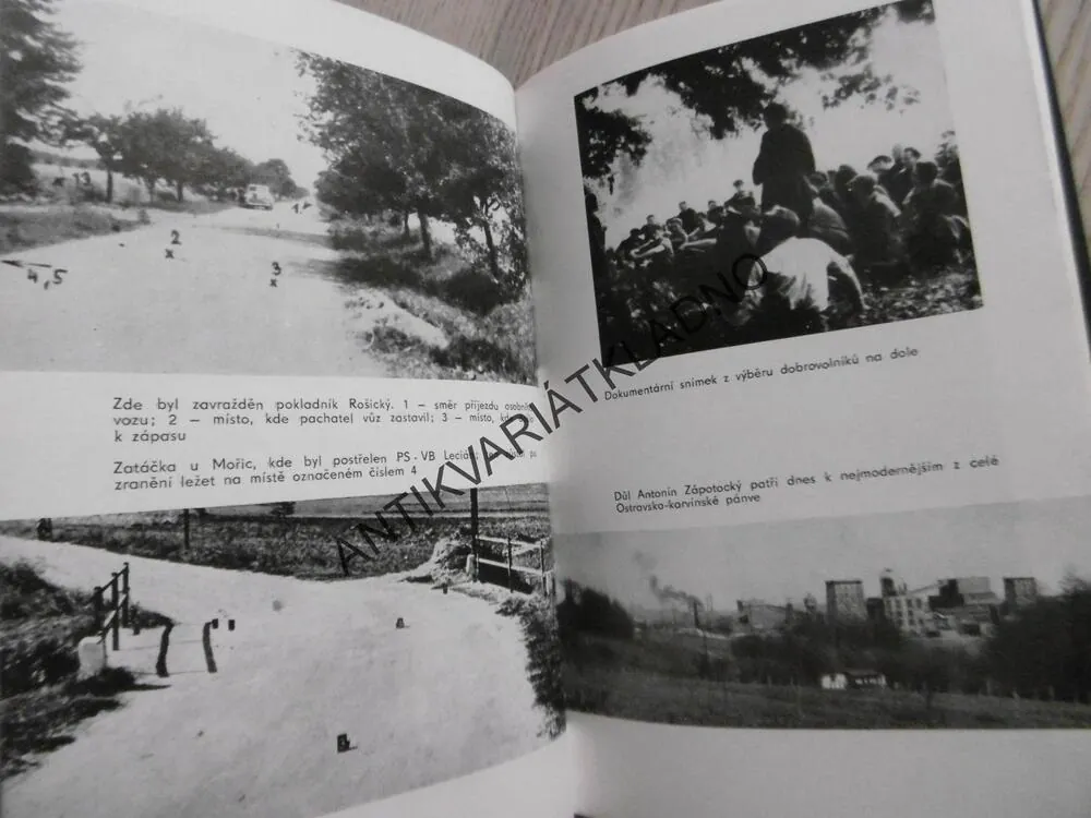 TADY BEZPEČNOST, R. JANSKÝ, **an