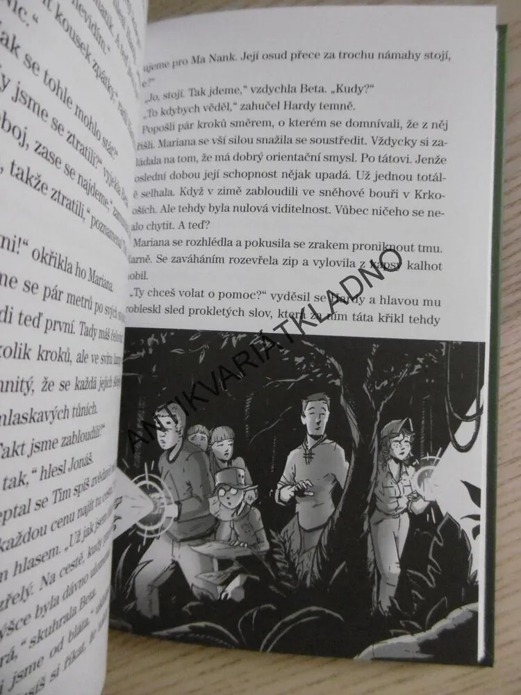 VE SPÁRECH DŽUNGLE, IVONA BŘEZINOVÁ, **an