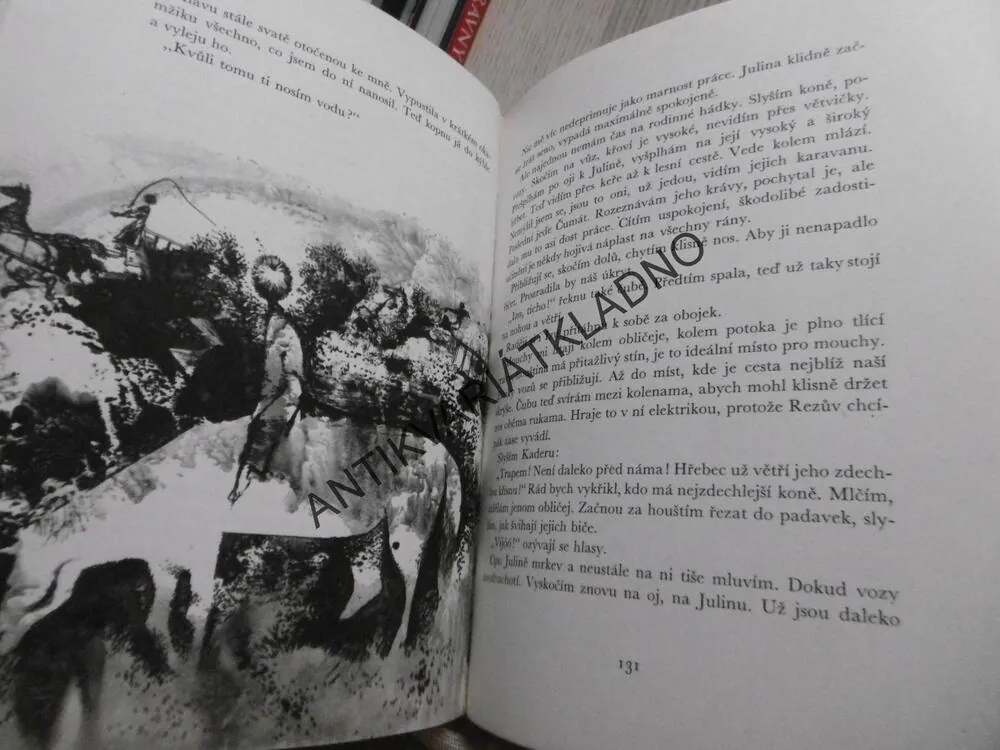 AŤ ŽIJE REPUBLIKA, JAN PROCHÁZKA, JIŘÍ TRNKA, **an