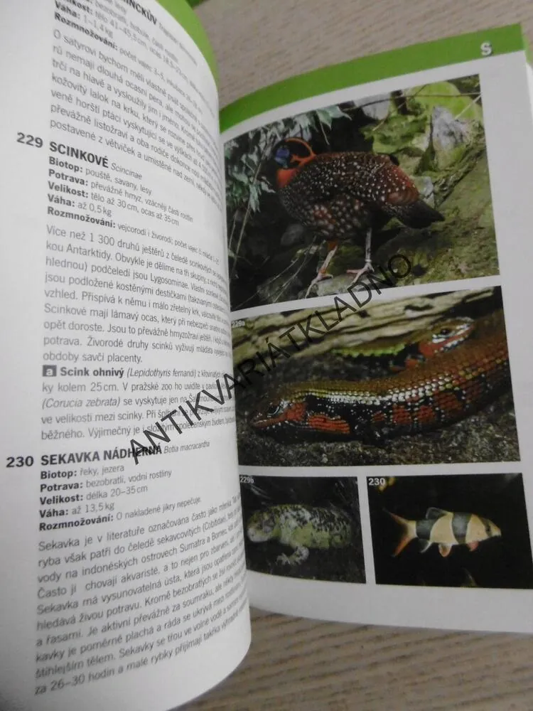 LEXIKON ZVÍŘAT OD A DO Z, ZOO PRAHA, **an
