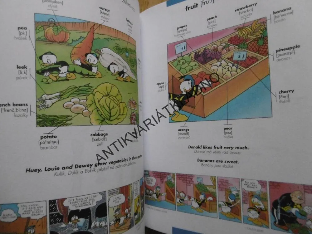 OBRÁZKOVÝ SLOVNÍK ANGLICKO ČESKÝ, 1000 SLOV, WALT DISNEY, **an