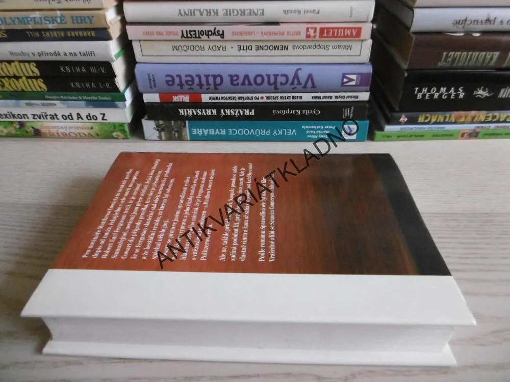 SPRAVEDLIVÁ VĚC, JOHN KATZENBACH, **an