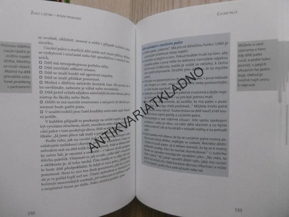 VÝCHOVA DÍTĚTE, ANNEGRET WEIKERT, **an