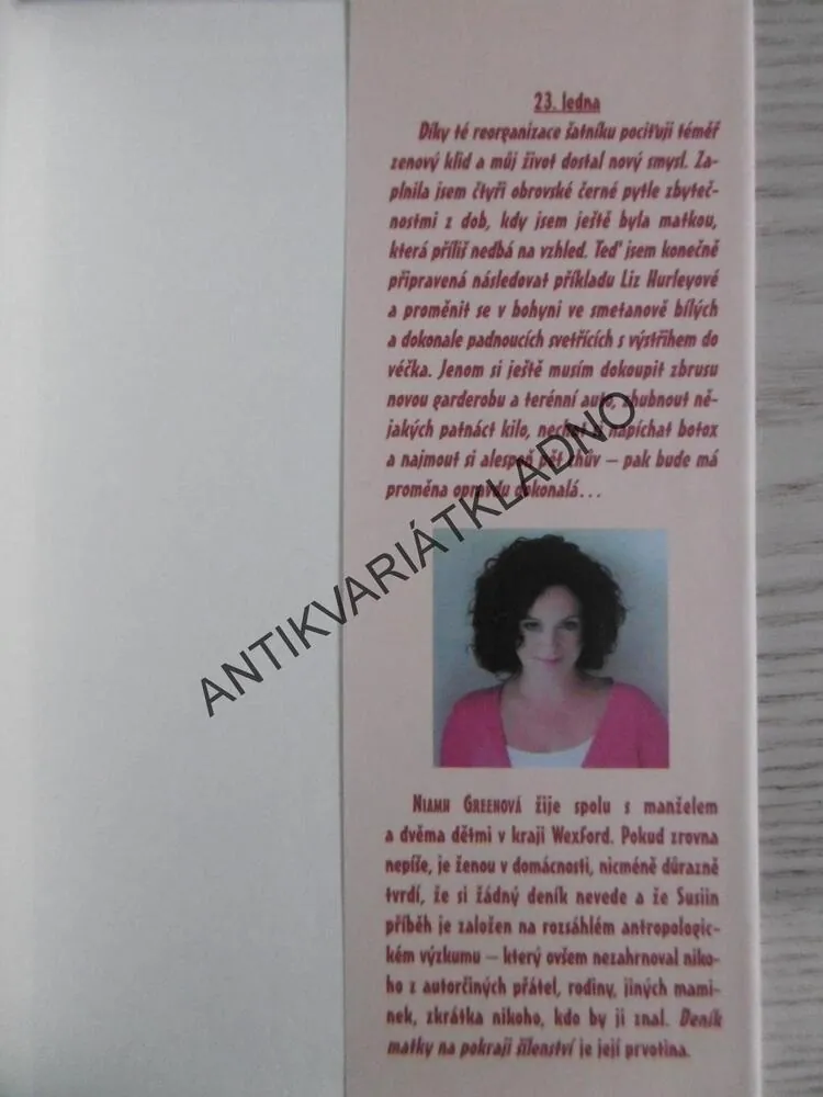 DENÍK MATKY NA POKRAJI ŠÍLENSTVÍ, NIAMH GREENOVÁ, **an
