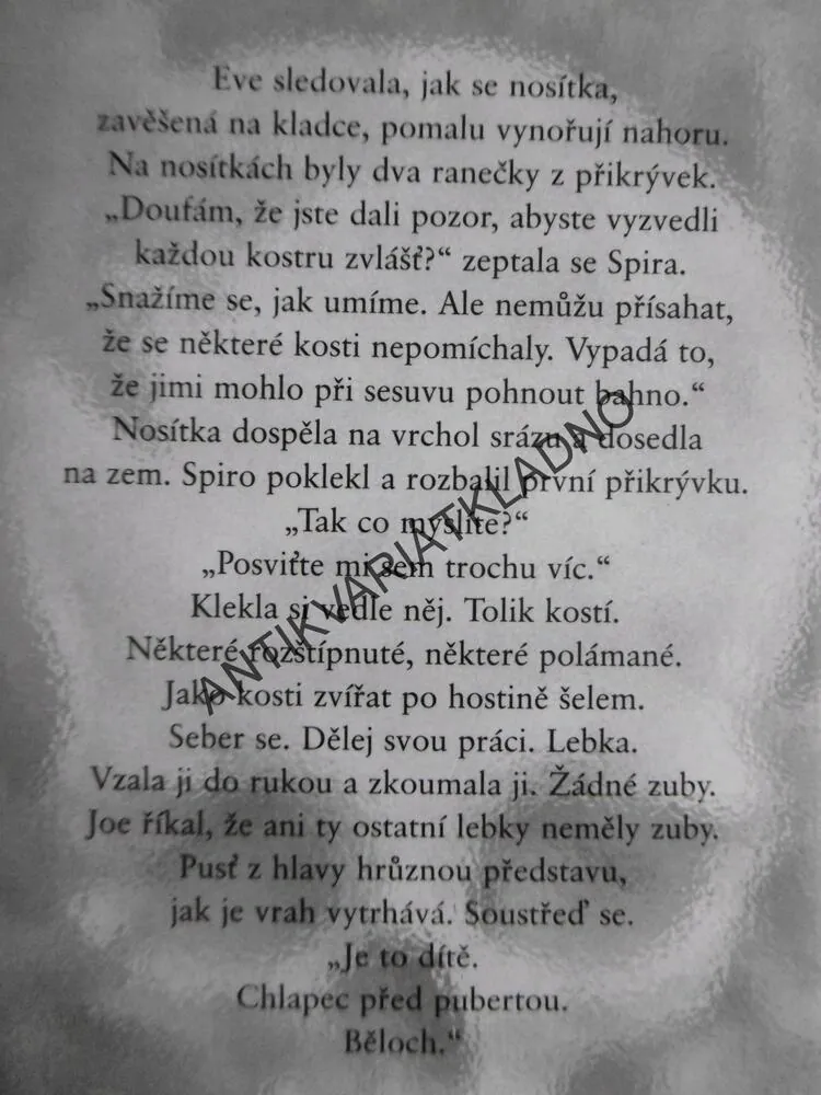 VRAŽEDNÁ HRA, IRIS JOHANSEN, **an