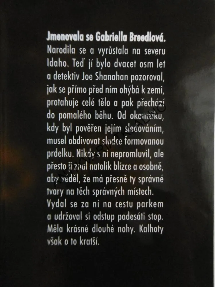 TO MUSÍ BÝT LÁSKA!, RACHEL GIBSON, **an