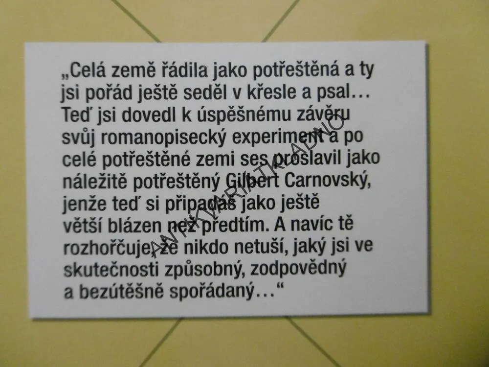 ZUCKERMAN ZBAVENÝ POUT, PHILIP ROTH, **an