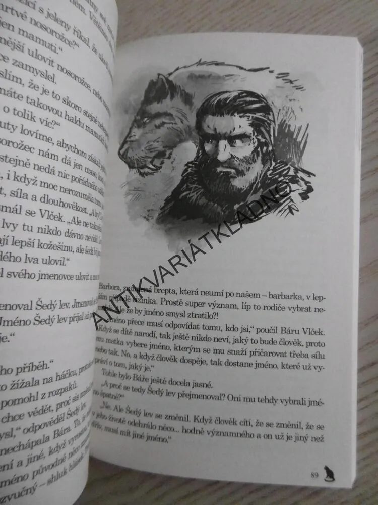DOBA KAMENNÁ, POMSTA ŠEDÉHO LVA, VERONIKA VÁLKOVÁ, **an