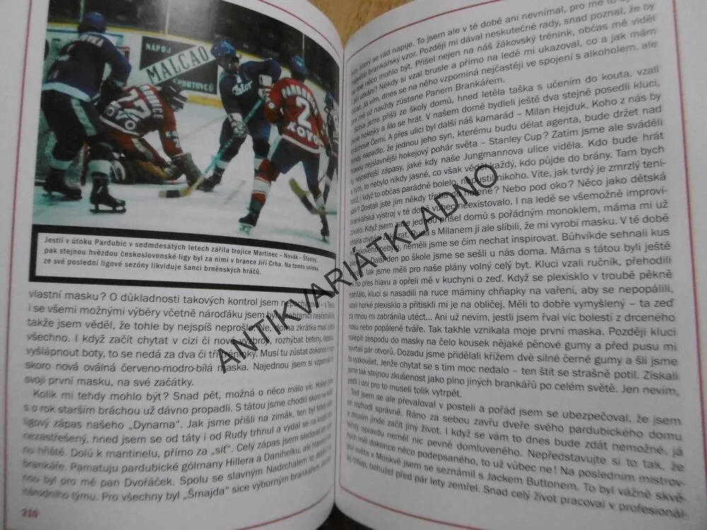 PŘEHLEDY Z HOKEJOVÉ BRANKY, KOLIŠ, HAŠEK, HOKEJ,