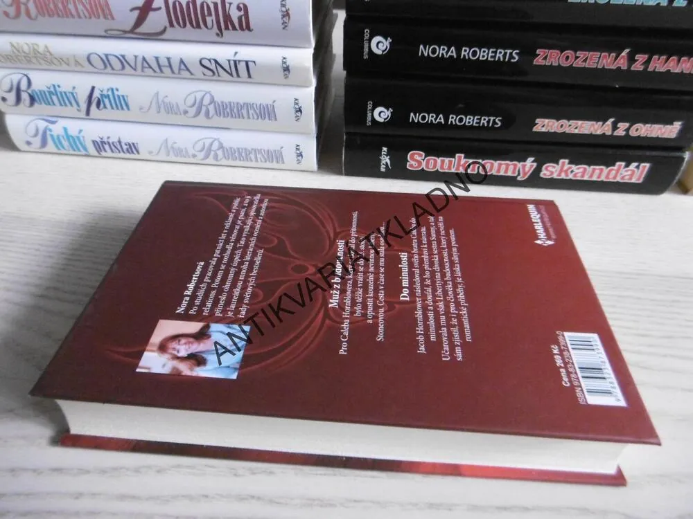 CESTA ČASEM, NORA ROBERTSOVÁ, **an