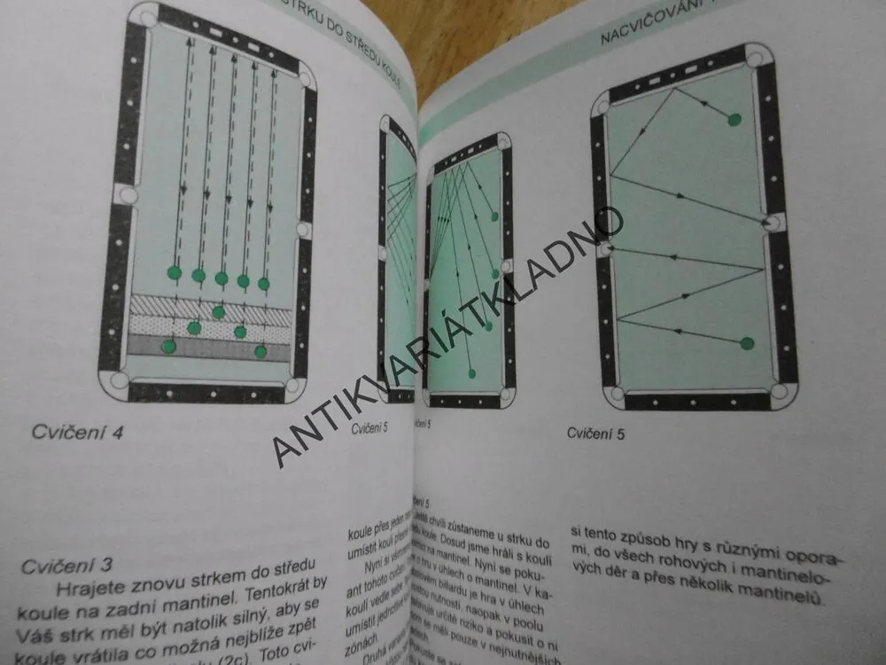 POOLBILLARD, KULEČNÍK,ZÁKLADY PRO TECHNIKY A HRY