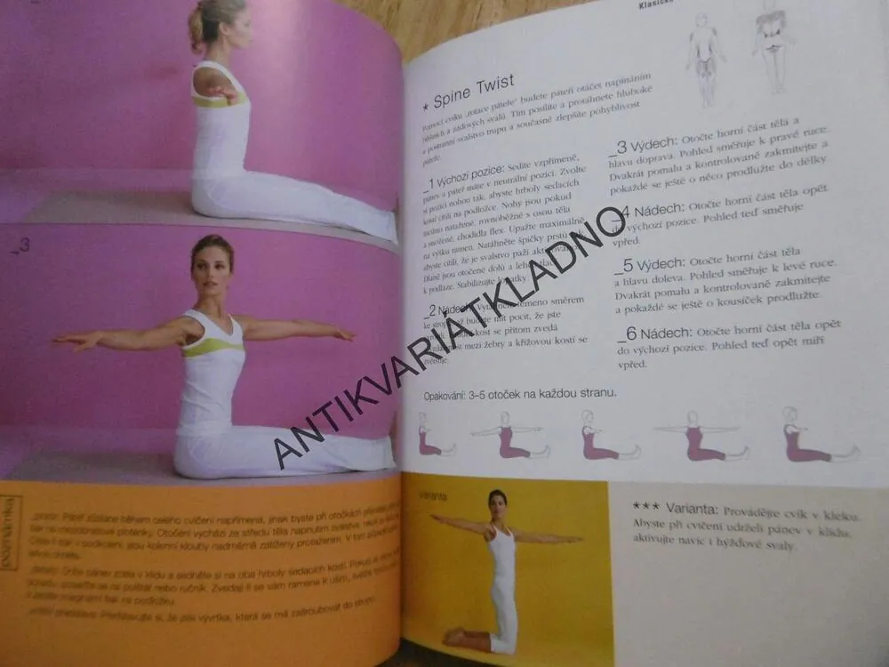 VELKÁ KNIHA PILATES, CVIKY PRO VŠECHNY ÚROVNĚ ZDATNOSTI, SPORT,CVIČENÍ