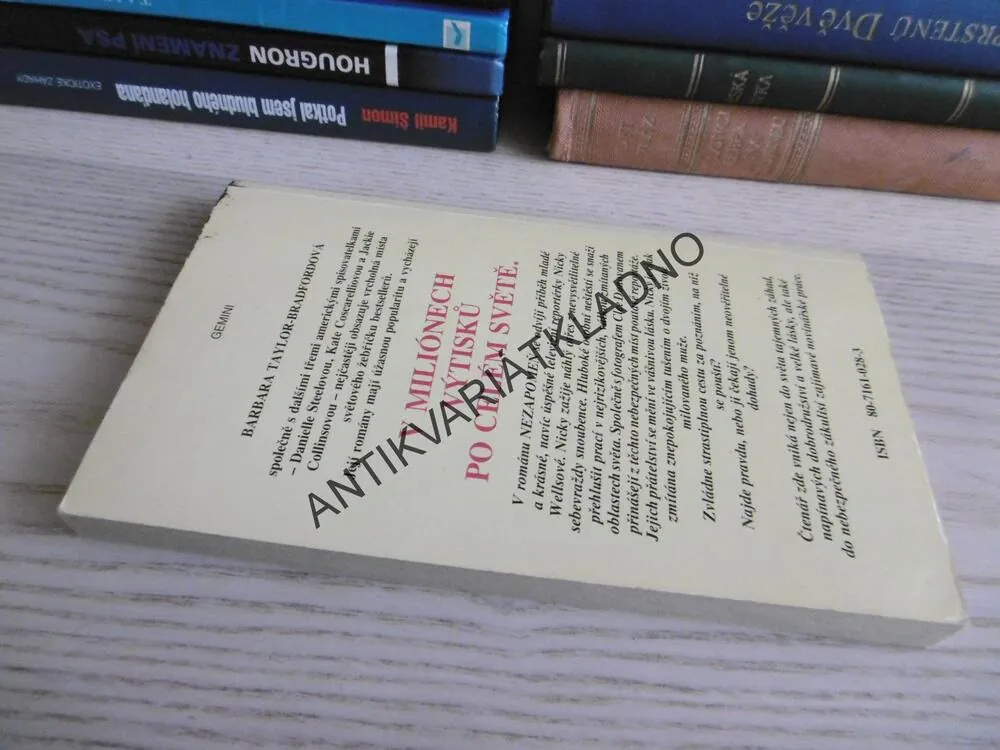 NEZAPOMEŇ, BARBARA TAYLOR BRADFORDOVÁ, **an