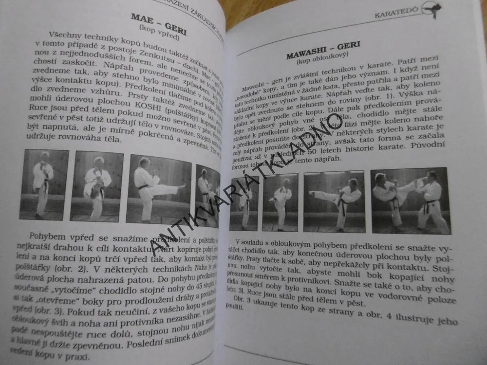 KARATÉDO, JAN GYURIS, TECHNIKY, HISTORIE, FILOZOFIE