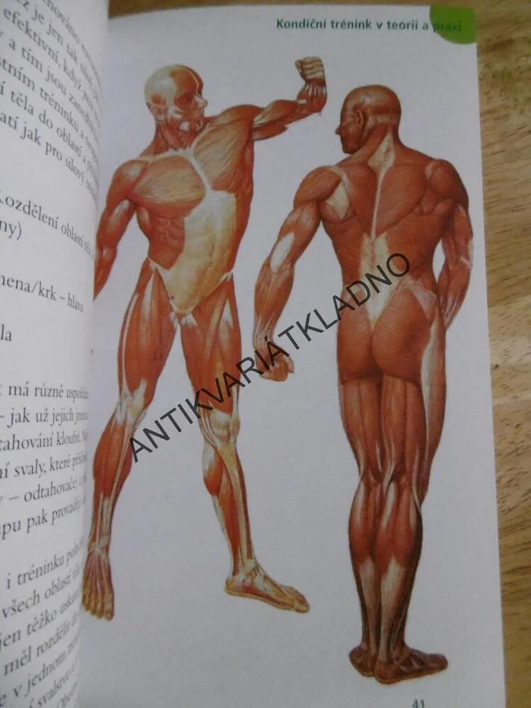 FIT NA HORY, AKTIVNÍ DOVOLENÁ, TRÉNINK, PRAXE, AKLIMATIZACE, **an