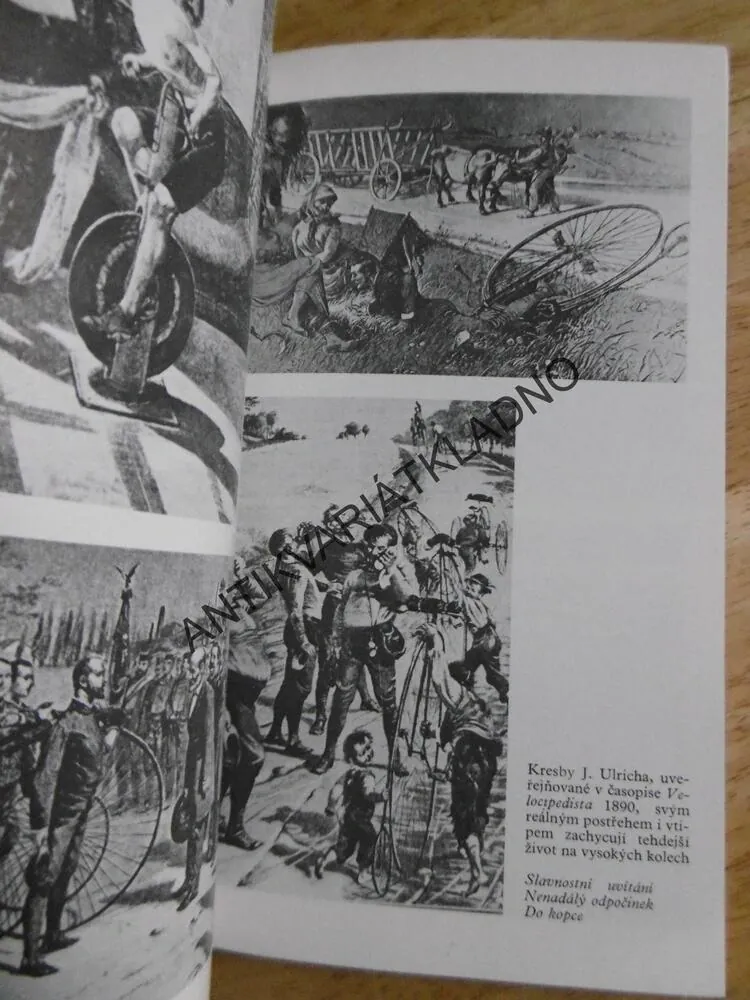SPORT V KRÁLOVSTVÍ ČESKÉM, PACINA, ARCHIV, LYŽOVÁNÍ, CYKLISTIKA, **an