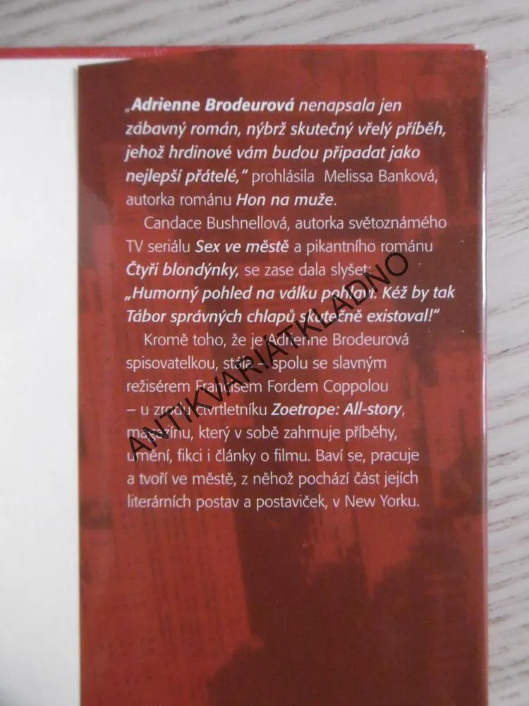 TÁBOR SPRÁVNÝCH CHLAPŮ, ADRIENNE BRODEUROVÁ, **an