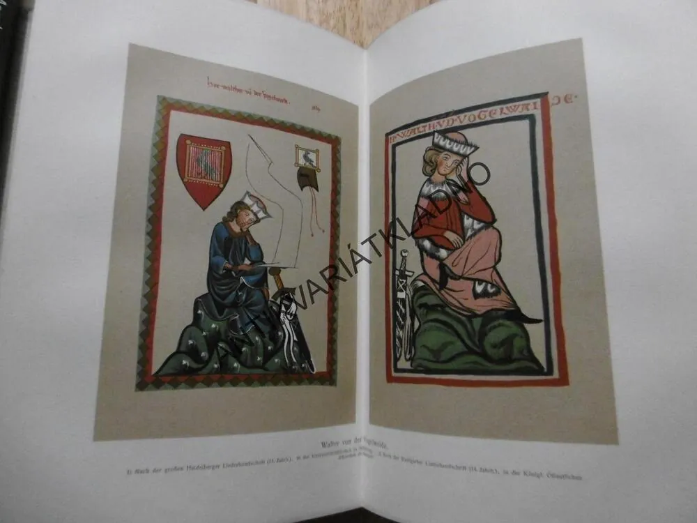 HISTORIE NĚMECKÉ LITERATURY, NĚMECKY,15 LITOGRAFIE, 1904