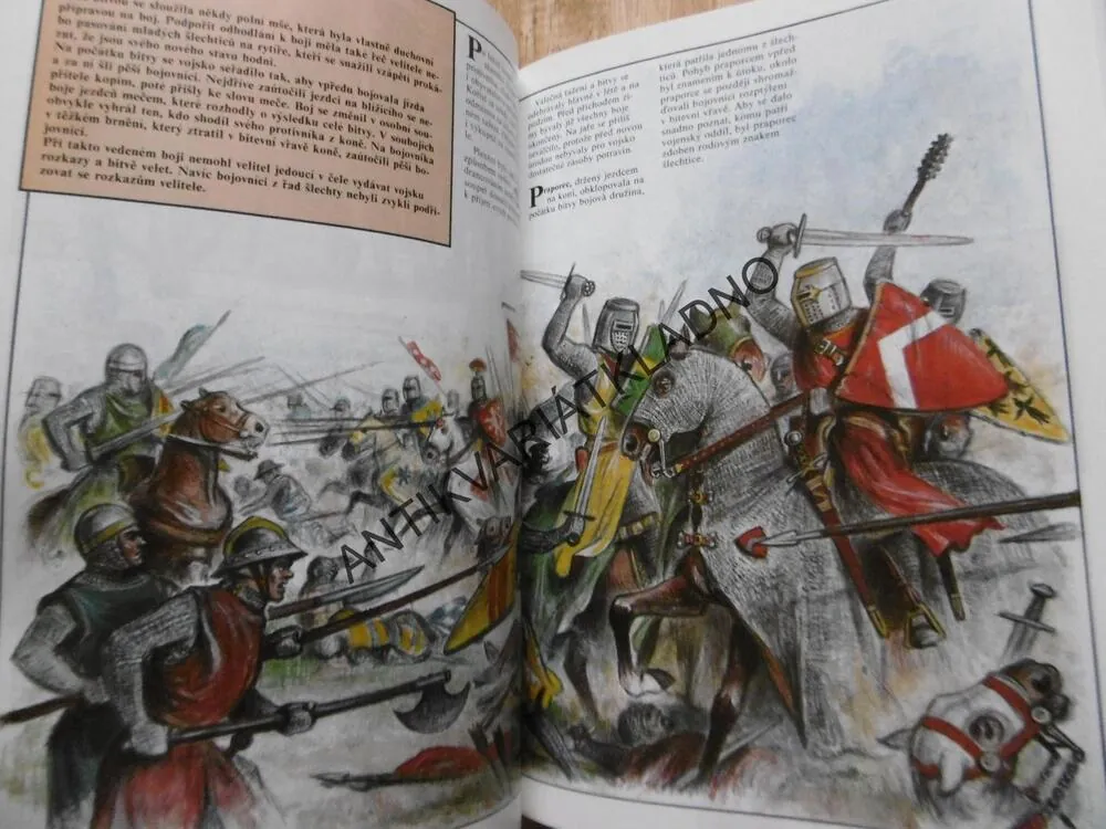 ČESKÉ ZEMĚ ZA POSLEDNÍCH PŘEMYSLOVCŮ, DĚJINY,BÍGL