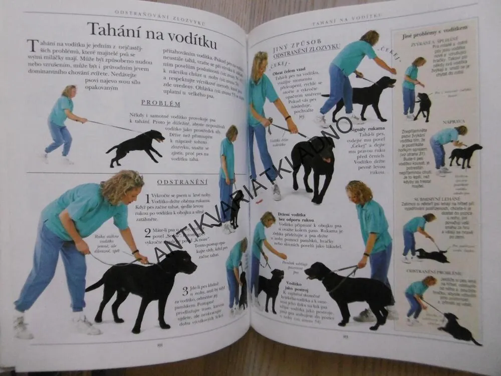 VÝCHOVA A VÝCVIK PSA, DR. BRUCE FOGLE, **an